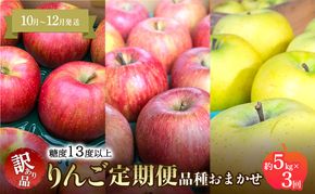 【10月～12月発送 りんご定期便】糖度13度以上 家庭用訳あり りんご 約5kg × 3回 家庭用訳ありコース【青森りんご】 リンゴ 林檎 訳あり 家庭用 果物 フルーツ 青森県 鶴田町