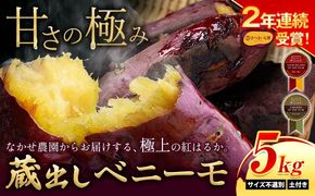 芋 熊本 県 大津 町産 なかせ 農園の蔵出しベニーモ 選べる 約 5kg (大中小サイズ不揃い)《1-5日以内に出荷予定(土日祝除く)》 さつま いも さつま芋 芋 紅 はるか スイート ポテト 干し芋にも 特産品 SDGs 中瀬農園---fn_nksimo_s_25_8000_5kg---