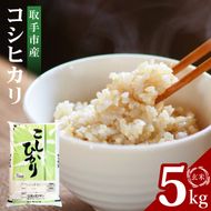 R7年産取手市産コシヒカリ 玄米5kg|お米 米 こしひかり コシヒカリ 玄米 茨城県 取手市（BS003）