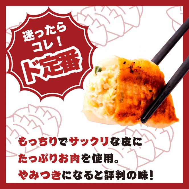 【大阪名物】大阪ふくちぁん餃子 冷凍生餃子 餃子食べ比べ3種類セット 272183_AY24