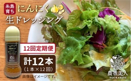 【 全12回 定期便 】糸島 そだち の にんにく 生 ドレッシング （ 285ml × 1本 ） 【農香美人】 [AAG038] ドレッシング ボトル 栽培期間中 農薬不使用 野菜 定期便 にんにく 糸島