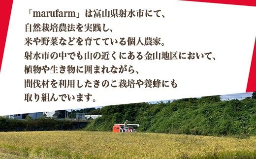 【射水の美味しいお米】【自然栽培農法】自然栽培農家 marufarm 自然栽培米「亀の尾」2kg ※離島への配送不可