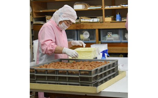 BL6153_【定期便】紀州南高梅 7種の風味 500g×12ヶ月 ご家庭用