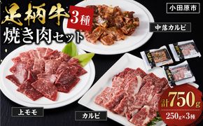 足柄牛3種焼肉セット（カルビ　上モモ　中落カルビ各250ｇ）【 肉 国産  神奈川県 小田原市 】 142069_AG033