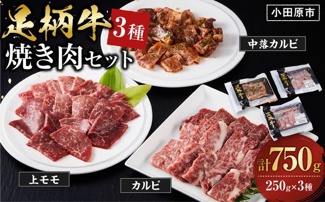 足柄牛3種焼肉セット（カルビ　上モモ　中落カルビ各250ｇ）【 肉 国産  神奈川県 小田原市 】 142069_AG033