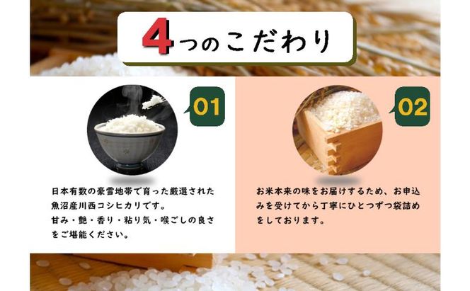 令和8年産　先行予約　【数量限定】 従来品種 魚沼産コシヒカリ 5kg×2 〈令和8年10月下旬～発送予定〉