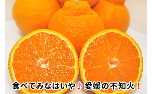 先行予約 訳あり 不知火 10kg  清家ばんかんビレッジ みかん 蜜柑 デコポン 清見 きよみ ポンカン 柑橘 果物 フルーツ 柑橘 糖度 ビタミン 健康 美容 愛媛 愛南 発送:2024年2月10日～4月10日(なくなり次第終了)