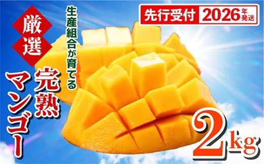 yꌧdzystzy2026NzYgĂ錵IEn}S[2kg - s\ ꌧY Yn 썑t[c Abv}S[ {̖o G߂̉ʕ 蕨 ꌧ d
