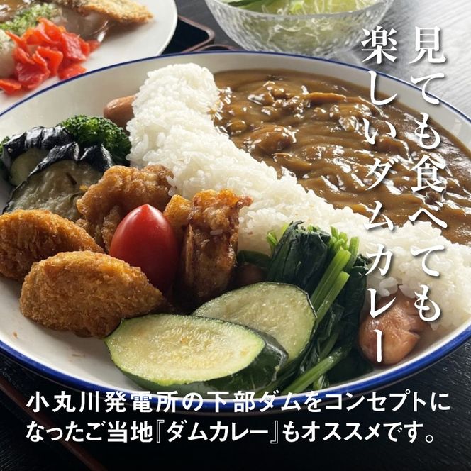 木城町　食事処「湯らら亭」お食事券　3,000円分 K04_0010