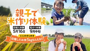 【2026年5月16日(土曜日) 開催予定】親子で米作り体験（田植え・稲刈り体験）にじのきらめき 5kg付き 茨城県 稲刈り農業 農業体験 子供 家族 参加型 自然 食育 虹のきらめき