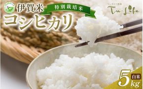 特別栽培米・伊賀米コシヒカリ 5kg【tuli0001A】