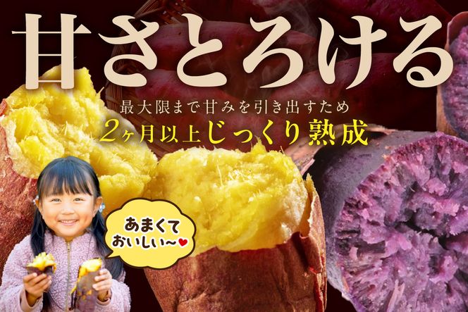 【先行予約】【日本一ダブル受賞セット】紅はるか、ふくむらさきセット計約5kg 京都 丹後 さつまいも 　TF00070