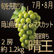 [HS]ぶどう先行予約7月・8月発送温室シャインマスカット晴王2房(合計約1.2kg) ブドウ 葡萄  岡山県産 国産 フルーツ 果物 ギフト デザート 食後 酸味が少ない 産地直送