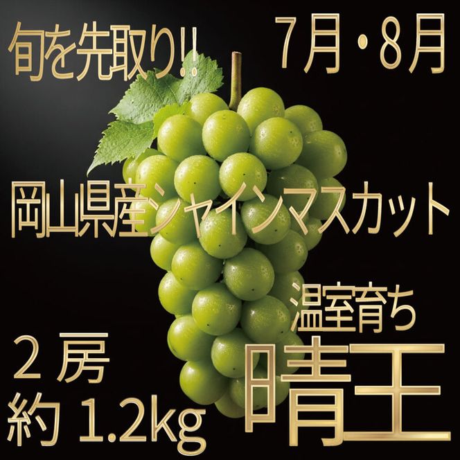[HS]ぶどう先行予約7月・8月発送温室シャインマスカット晴王2房(合計約1.2kg) ブドウ 葡萄  岡山県産 国産 フルーツ 果物 ギフト デザート 食後 酸味が少ない 産地直送