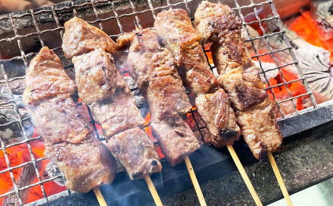 父の日 牛串 10本 牛肉 肉 焼肉 焼き肉 バーベキュー 冷凍 福井県 若狭町