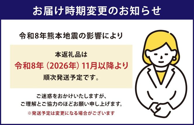 【定期便】黒樺牛【2回定期便】 ロースステーキ 400g （200g×2パック） 合計800g お肉 肉 牛肉 ブランド黒毛和牛 和牛 黒毛和牛 ブランド牛 ステーキ ロースステーキ 冷凍 国産 九州産 冷凍