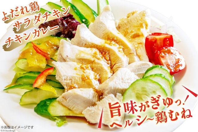 鶏肉 3回 定期便 むね 宮崎県産 若鶏 ムネ肉 250g ×12袋 計 3kg×3回 [九州児湯フーズ宮崎支店 宮崎県 日向市 452061552] 小分け 冷凍 むね肉 国産