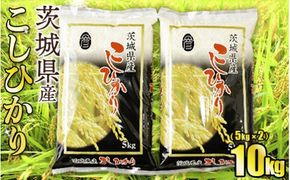 令和8年産 茨城コシヒカリ 10kg（5kg×2袋）【お米・コシヒカリ・米・10kg】