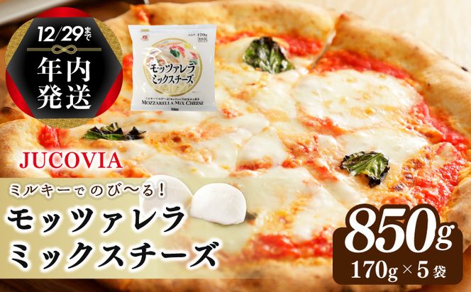 099H2981y 【年内発送】 【ムラカワチーズ】JUCOVIA モッツァレラミックスチーズ 850g（170g×5パック）