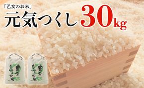 令和6年産「乙女のお米」元気つくし ３０kg