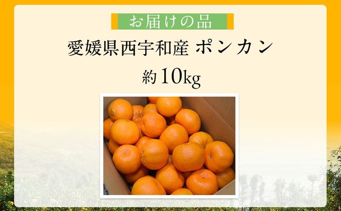 【先行予約】【数量限定】JAにしうわ みつる共選 ポンカン約10kg（2S～2L）※離島への配送不可（2026年1月中旬より順次発送予定） IKTBC005