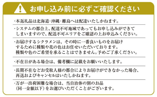 【2026年12月上旬より順次発送！】≪種類・色お任せ≫ シクラメン 5号鉢　SMCN001