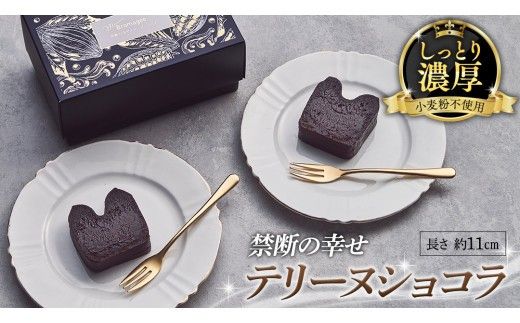 【 禁断の幸せ 】 テリーヌショコラ チョコ チョコレート 生チョコ ショコラ ケーキ デザート スイーツ テリーヌ 贈り物 贈答 ギフト バレンタイン ホワイトデー [CS007ci]