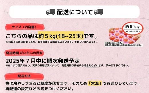 ◆2025年夏発送◆紅国見～産直・桃・約5kg～ ｜ 先行予約 予約 数量限定 桃 もも モモ 果物 くだもの フルーツ 詰め合わせ 福島 ふくしま　※離島への配送不可　※2025年7月上旬～7月下旬頃に順次発送予定