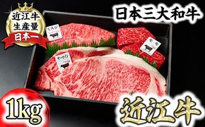 【一週間以内発送】A5等級 未経産雌限定 特撰近江牛ステーキ 厳選３種盛 合計1kg【FO16W】