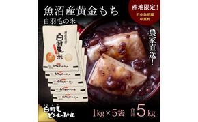 【通年受付】≪令和8年産≫ 農家直送！魚沼産黄金もち「白羽毛の米」精米(1kg×5袋) 5kg お米 白米