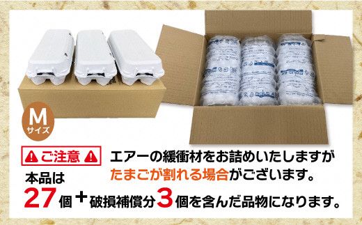 JAむなかたよりお届け！宗像たまご30個（27個＋補償3個）【JAほたるの里】_HA0915