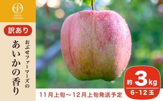 y쌧z{zy󂠂z̍ 3kg 6`12 mԂt@[}[Yn t[c ʕ ь S 쌧Y MBY H  LY s KiO ƒp ߘa7NY y2025N11{`12{z mFH-57n