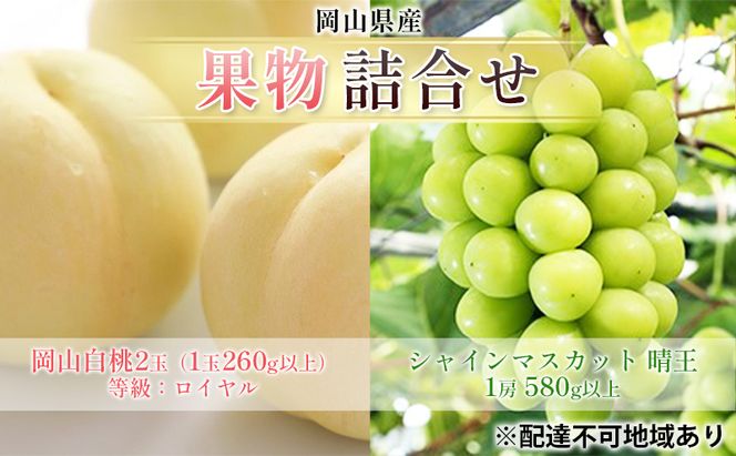 ぶどう 2026年 先行予約 果物 詰合せ 岡山 白桃 2玉 等級：ロイヤル（1玉260g以上） シャイン マスカット 晴王 1房 580g以上 もも 葡萄 岡山県産 国産 フルーツ 果物 ギフト