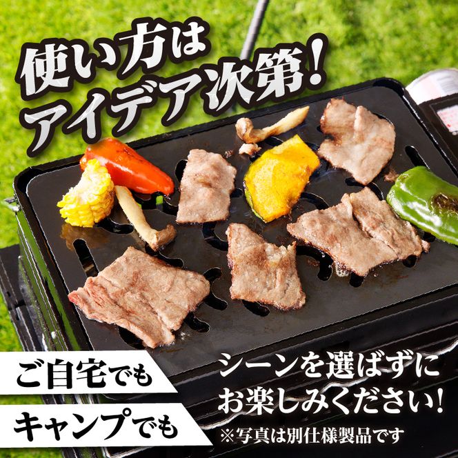 【純国産極厚鉄板】まどか鉄板2号 60