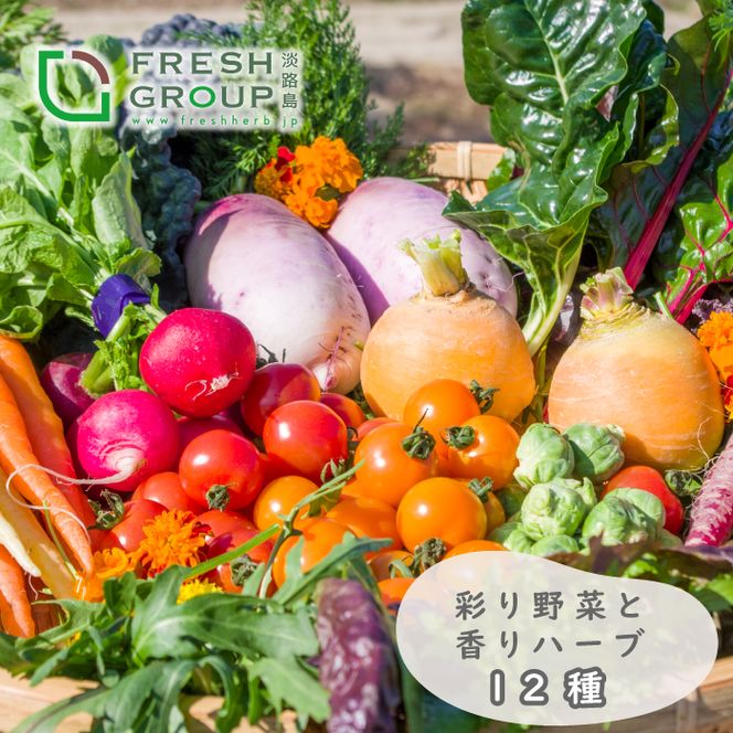フレッシュグループ淡路島彩り野菜と香るハーブセット　野菜