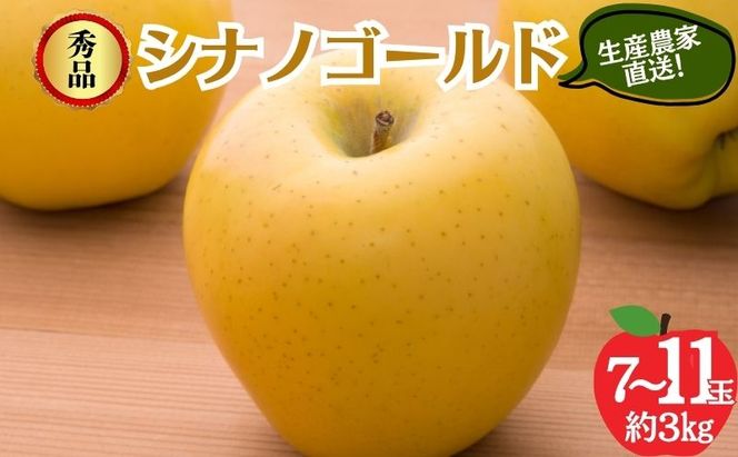 【2026年10月～発送】シナノゴールド 秀品 約3kg 7～11玉 りんご 果物 信州 長野