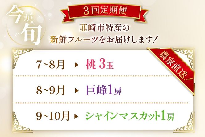 【2026年発送】【先行予約】ちっとばかしフルーツ3回定期便 桃 巨峰 シャインマスカット 【年3回】NS-1016 [韮崎翠緑 山梨県 韮崎市 20744991] フルーツ 果物 くだもの もも ぶどう ブドウ 葡萄 シャイン マスカット 山梨県産