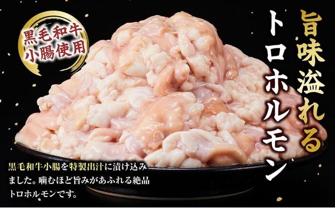黒毛和牛トロホルモン（小腸）　特製だし1.5kg ( 300g × 5パック )【選べる配送月】