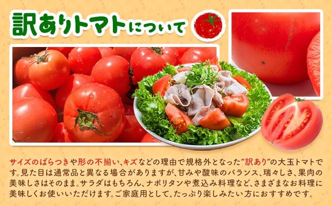 【大津アグリラボ】大玉トマト かれん 訳あり 約4kg 株式会社中九州クボタ《10月上旬-6月下旬頃出荷》熊本県 大津町 トマト 大玉 野菜 訳アリ ご家庭用 傷あり サイズ 不揃い 規格外---oz_nkb_3_4kg---