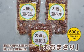 159-2031-04　湘南大磯の太陽を浴びて育った大磯落花生　「おおまさり」 たっぷり600g（300g入り2袋）【おつまみ　大容量】【 神奈川県 大磯町 大粒の落花生 天日干し ポリフェノー 薄皮付き ピーナッツ 贈り物 父の日】