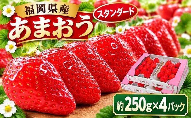 いちご 2027年2月より発送 うるう農園のあまおう スタンダード4パック 約1kg 果物 フルーツ デザート 食後 特別栽培 福岡県産 国産 日本産 ※配送不可：離島