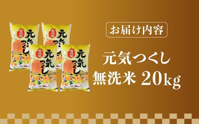 【先行予約】【令和7年産】福岡県産ブランド米「元気つくし」無洗米 20kg (5kg×4袋)【2025年11月以降順次発送】《築上町》【株式会社ゼロプラス】 [ABDD006]  