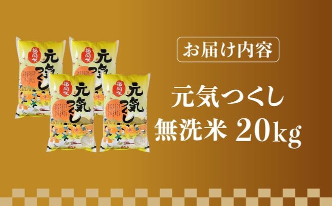 【令和5年産】福岡県産ブランド米「元気つくし」無洗米 20kg (5kg×4袋)《築上町》【株式会社ゼロプラス】[ABDD006]