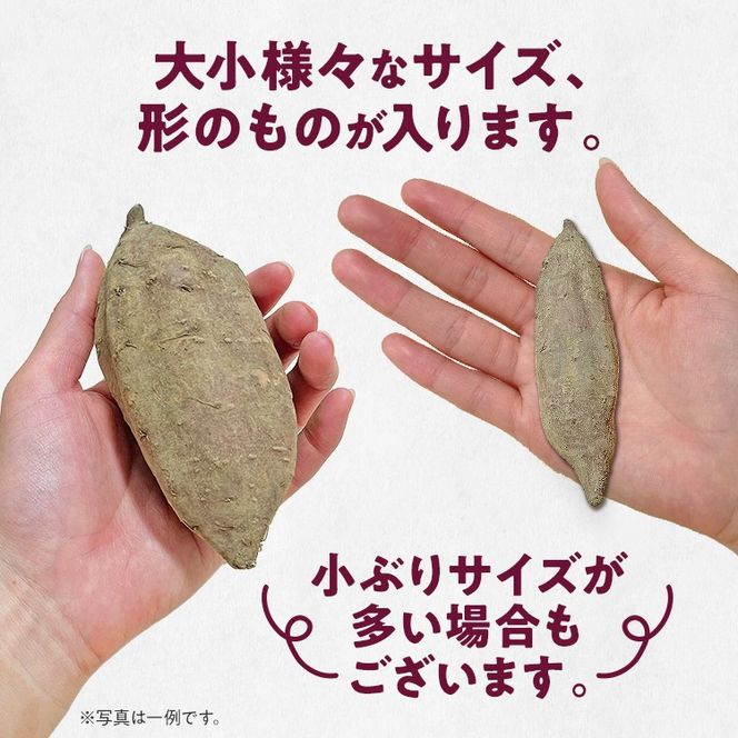 訳あり 紅はるか 熟成 紅はるか 5kg さつまいも 芋 サツマイモ 土付き サイズ色々 サイズ不揃い 九州産 焼き芋 やきいも 甘い デザート スイートポテト 生芋 おやつ デザート 野菜 いも