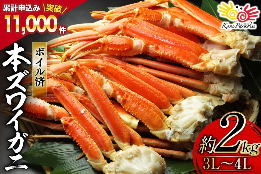 かに ボイル済み 本ずわいがに 脚 3L〜4L 総重量 2kg [カネダイ 宮城県 気仙沼市 20564764] カニ 蟹 ズワイガニ ずわい蟹 ズワイ蟹 ずわい ズワイ 海鮮 魚介類 カニ脚 蟹脚 足 ボイル ご褒美