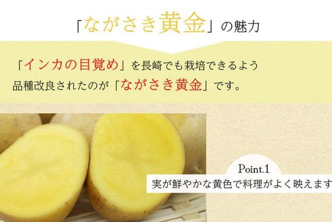BH050 じゃがいも 訳あり ながさき黄金 出島 約5kg [ 野菜 訳アリ 芋 ジャガイモ 5キロ ほくほく 先行予約 常備野菜 国産 贅沢宝庫 長崎県 島原市 ]