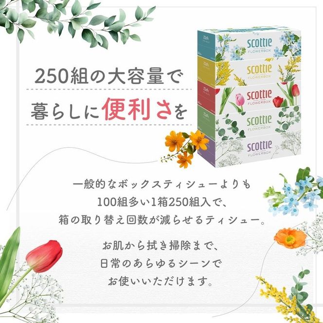 定期便 ティッシュ スコッティ フラワーボックス 3箱 × 1 パック《 4ヶ月ごと計 3回 》ティッシュセット