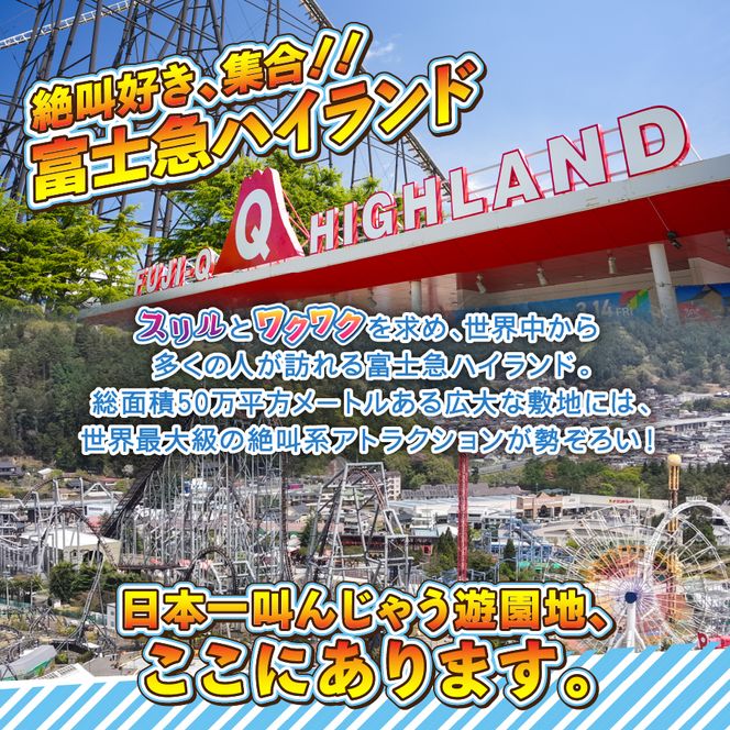 【 富士急ハイランド 】 ワンデイパス ペアチケット 富士急ハイランド 遊園地 テーマパーク