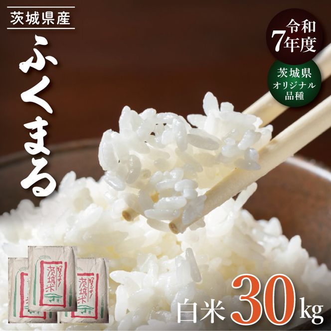 【数量限定】★茨城県オリジナル品種★R7年産 ふくまる 白米30kg|お米 米 ふくまる 白米 茨城県 取手市（BQ003）