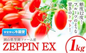 ZEPPIN EX(エクセレント) 1kg箱 (ZEPPIN EX) 《120日以内に出荷予定(土日祝除く)》平均糖度12度 甘い フルーツトマト ---C-39a---